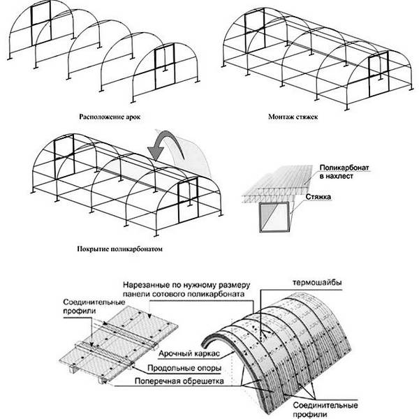 Теплица из поликарбоната своими руками: схемы и пошаговая инструкция