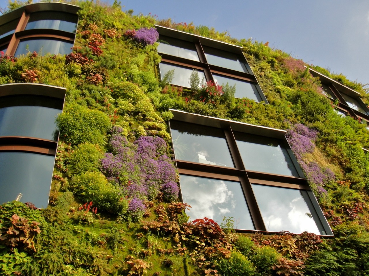 Зеленый фасад в 40 примерах экологически ответственного строительства | внешний дизайн 2022