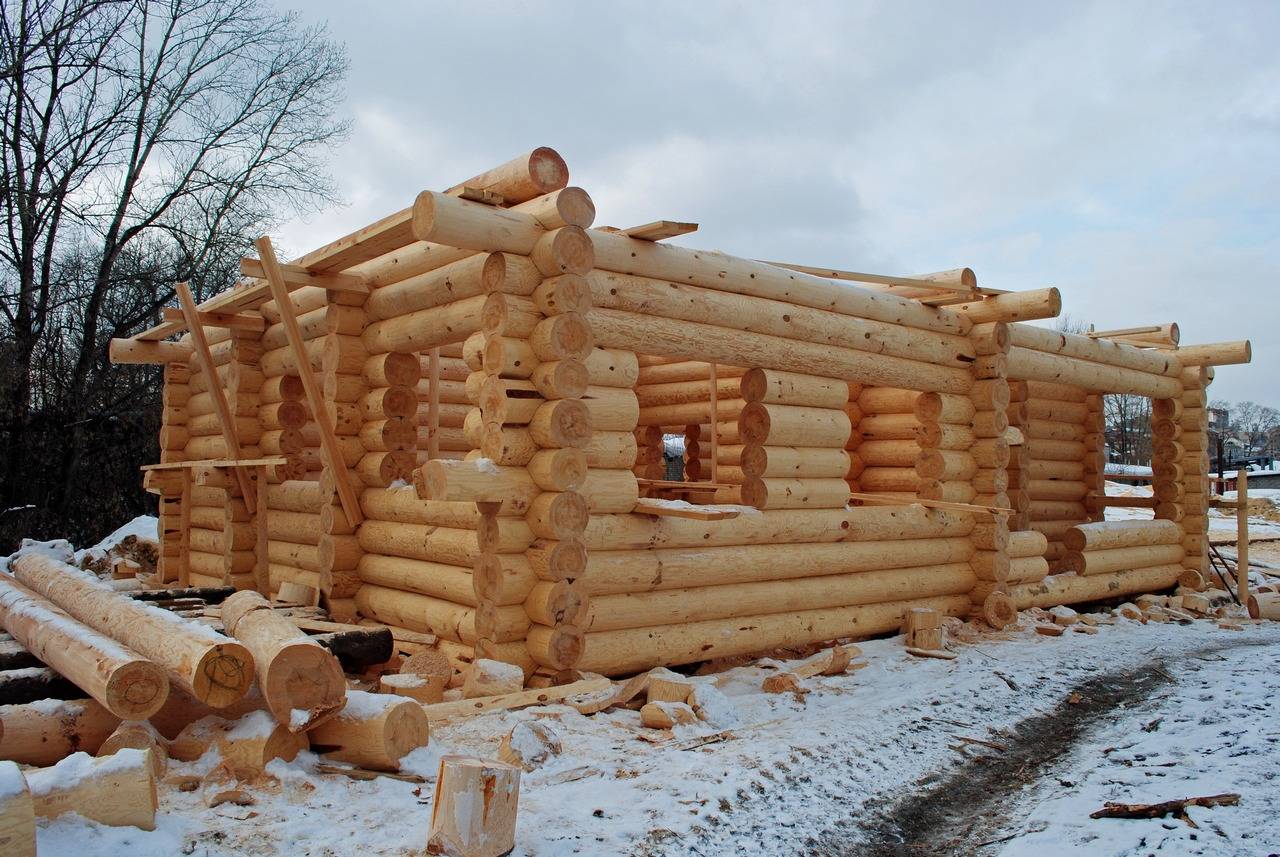 Как выбрать древесину для строительства дома: какие породы лучше выбрать. | заметки строителя