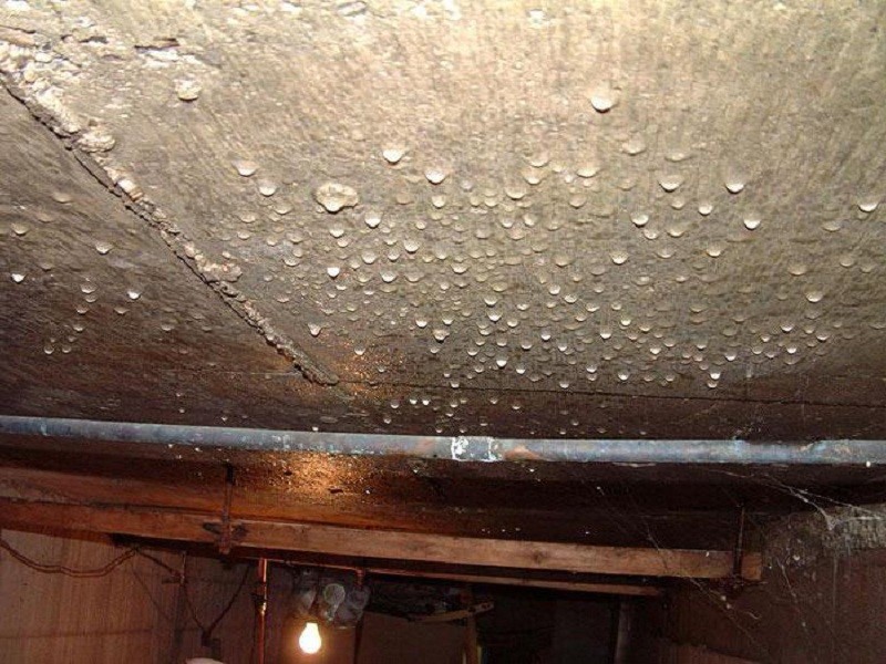 Как решить проблему конденсата и сырости в подвале или погребе Обустройство вентиляции и другие способы осушения