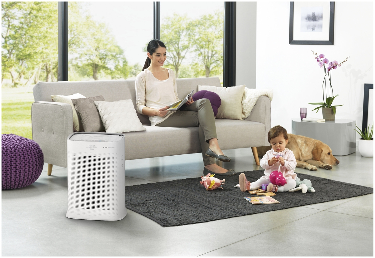 Очиститель воздуха: рейтинг лучших бытовых ионизаторов 2020 года, подбираем эффективные типы для дома и квартиры