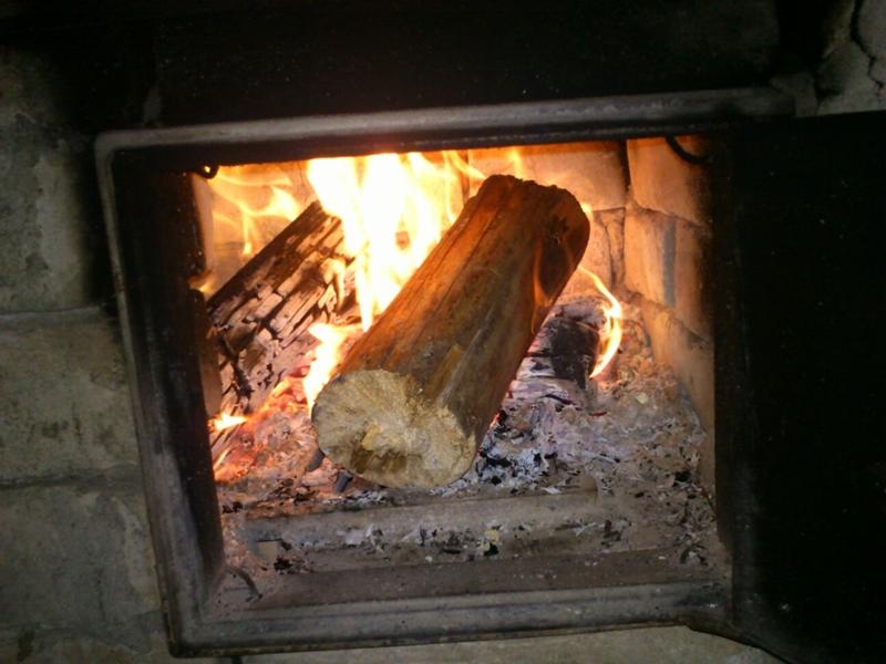 Подробно про дрова для костра, сухие ветки и бревна, которые хорошо горят