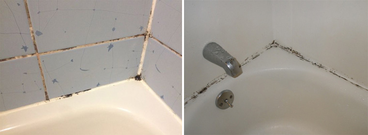Как избавиться от плесени в ванной комнате?