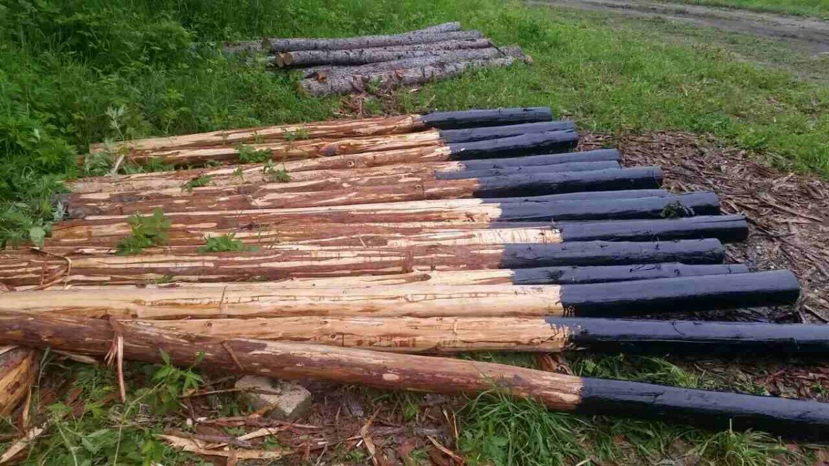 Обработка древесины от гниения и влаги при установке высоких грядок: способы и средства