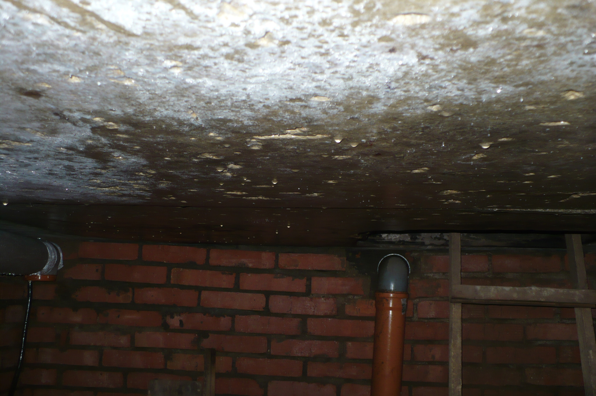 Конденсат на потолке в погребе гаража: причины, следствия и варианты устранения