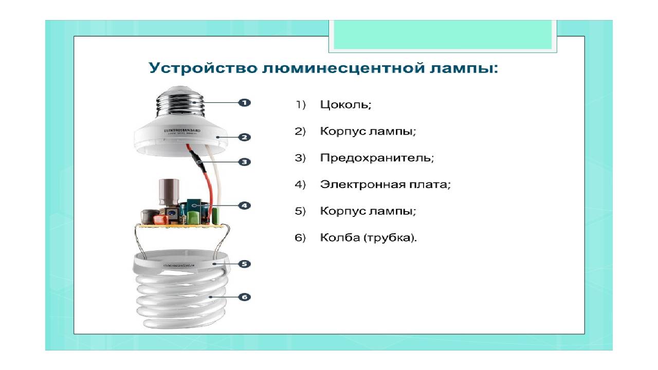 Люминесцентные лампы: технические характеристики, виды, сферы использования