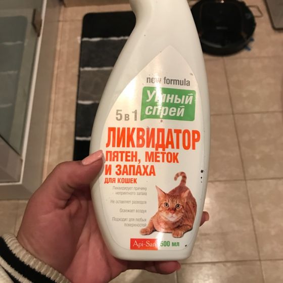 Чем отмыть мочу кошки?
