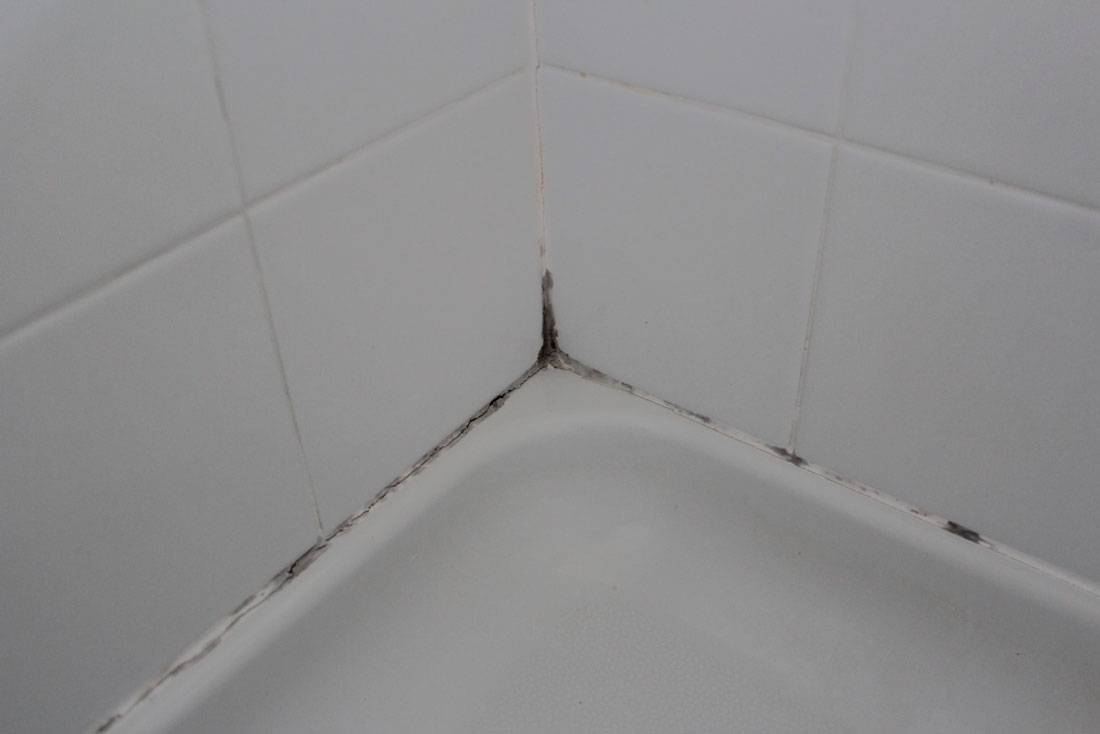 Как убрать плесень в ванной на герметике