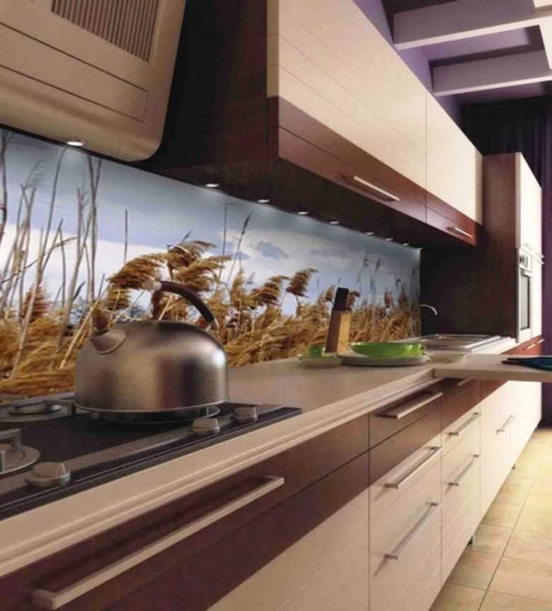 Скинали — стеклянный кухонный фартук с рисунком: виды и особенности