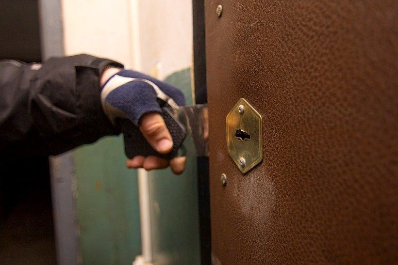 Как предотвратить квартирные кражи с помощью взломостойких дверей?