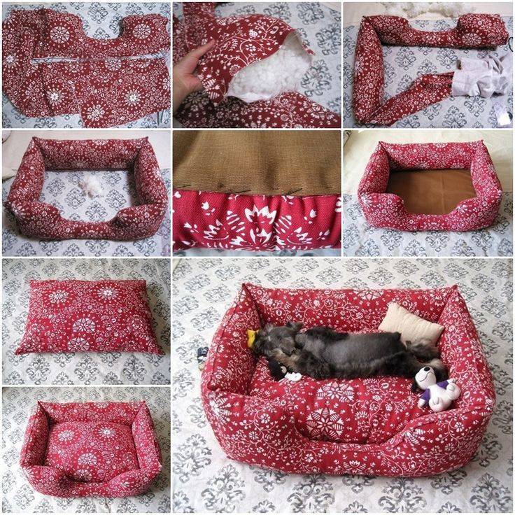 ᐉ как сделать лежанку для кошки? - ➡ motildazoo.ru