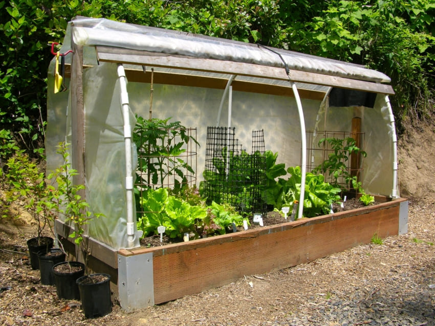 Как сделать самодельную мини-теплицу для дома и сада своими руками: пошаговая инструкция, материалы, самые лучшие проекты, фото