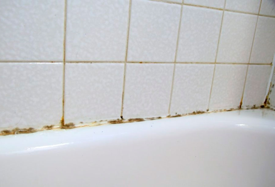 Как избавиться от плесени в ванной: 11 народных способов